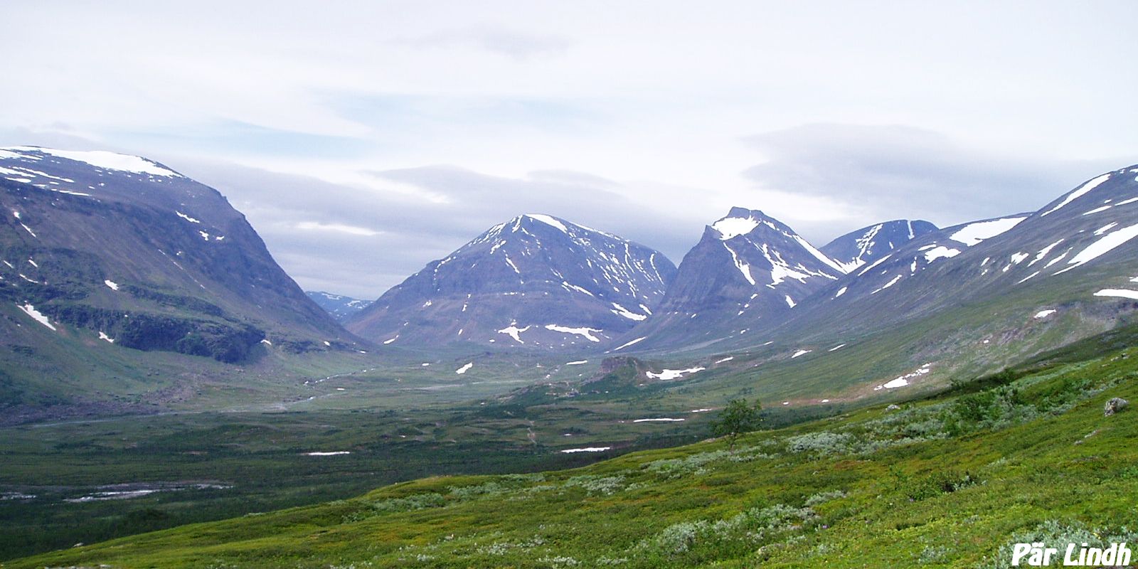 Laddjuvaggi