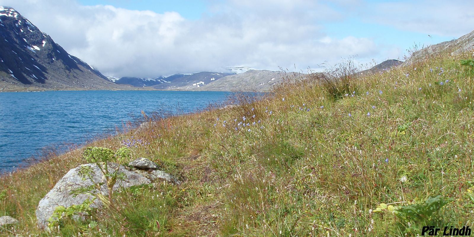 Baugevatnet