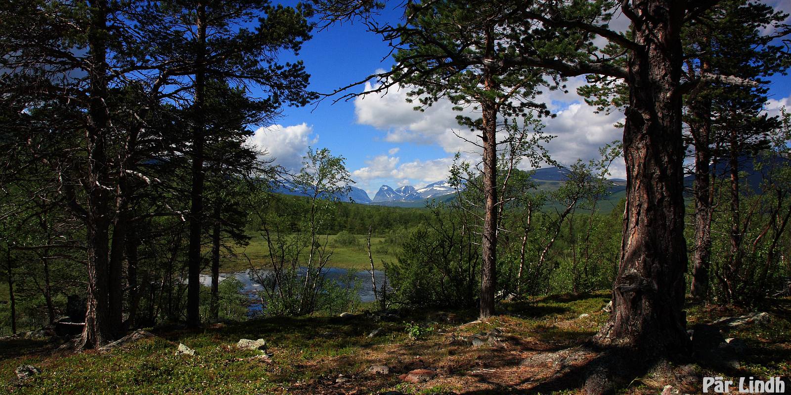 Nikkaluokta