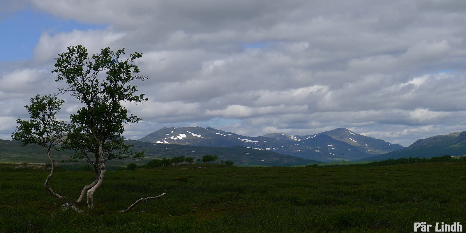 Snasahögarna