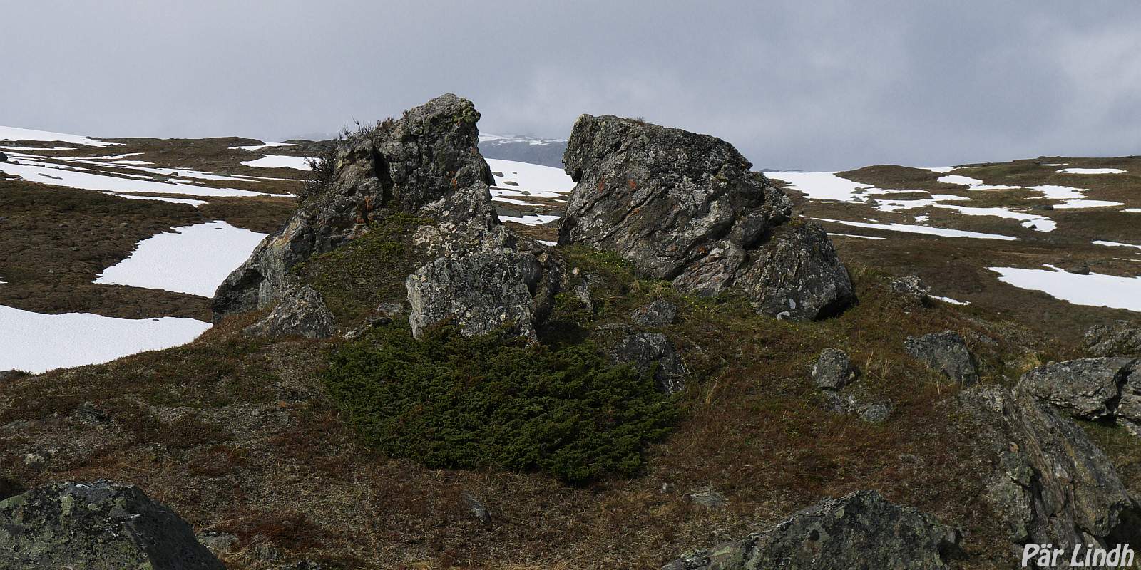 Stenformation