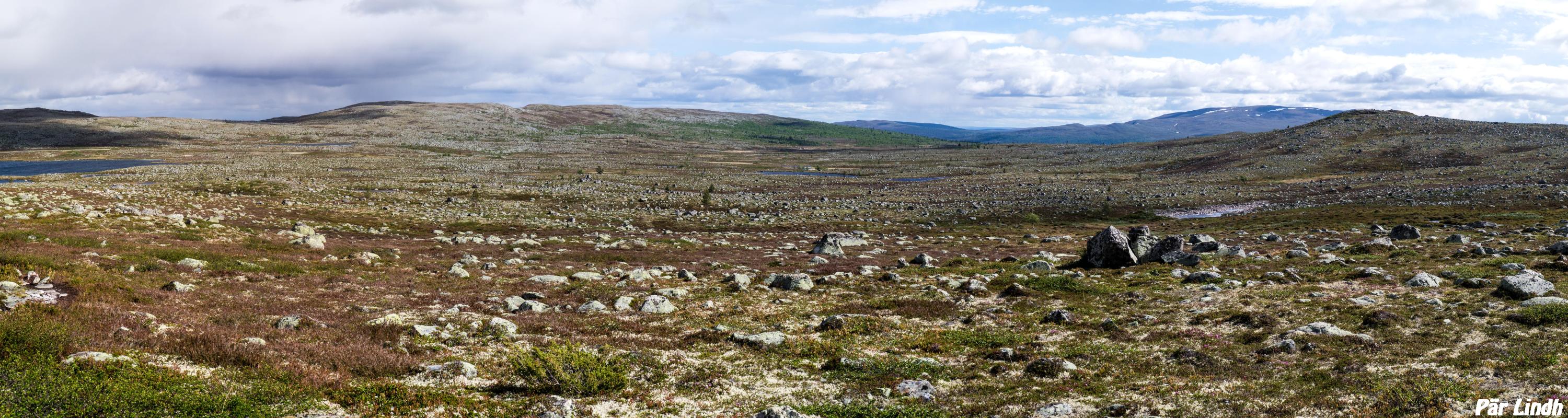 Rävtjärnsvålen