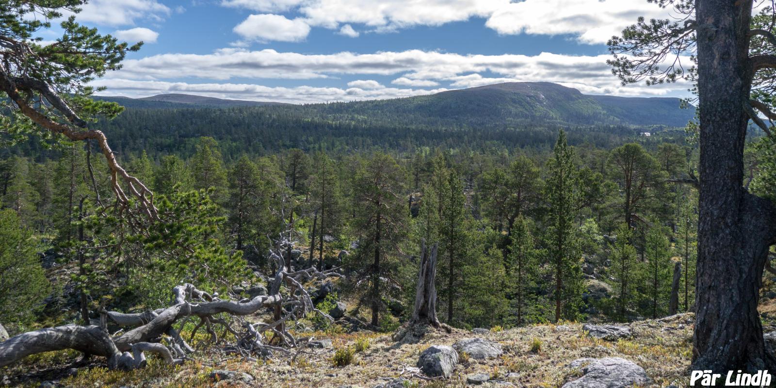 Nässjöberget