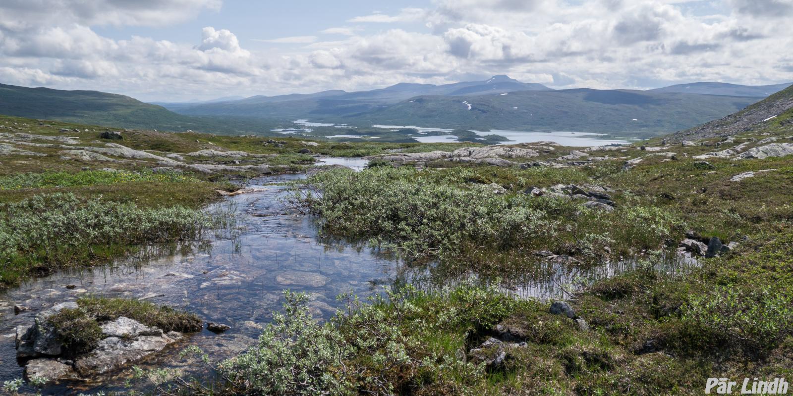Rainesklumpen