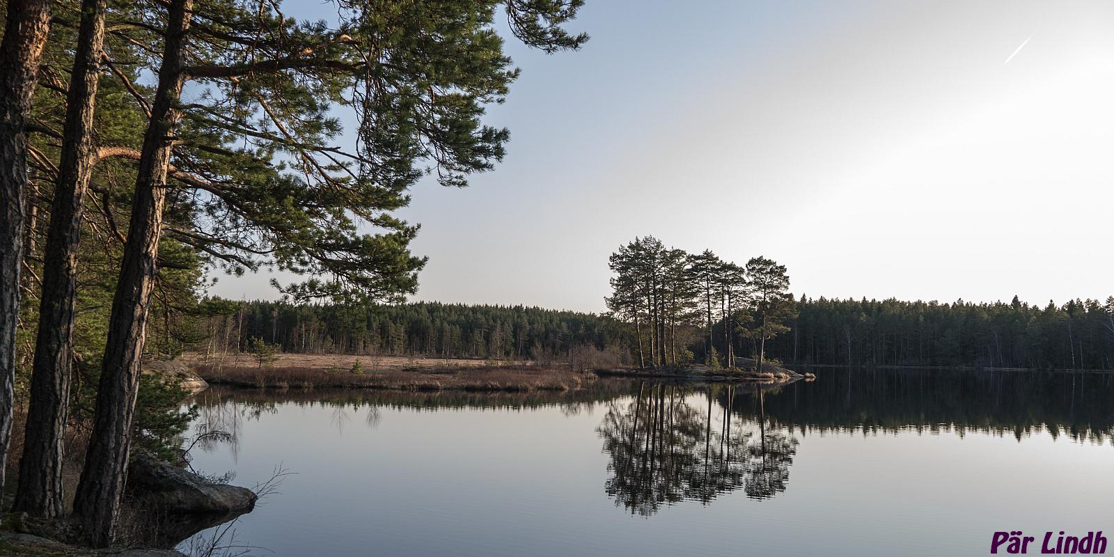 Pilthyttedammen