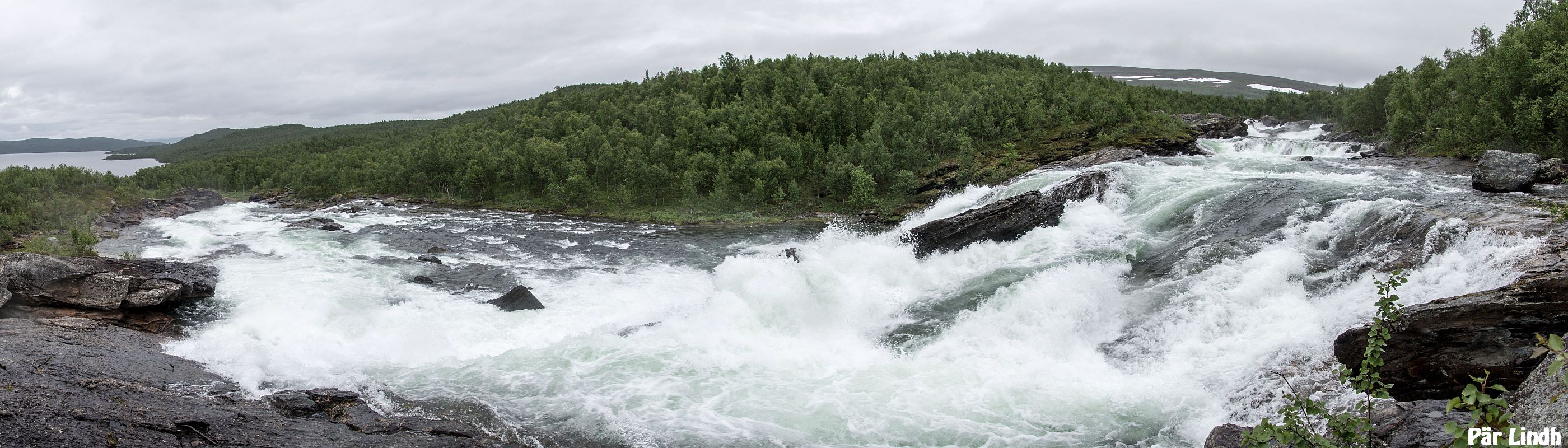 Ruonejåhkå