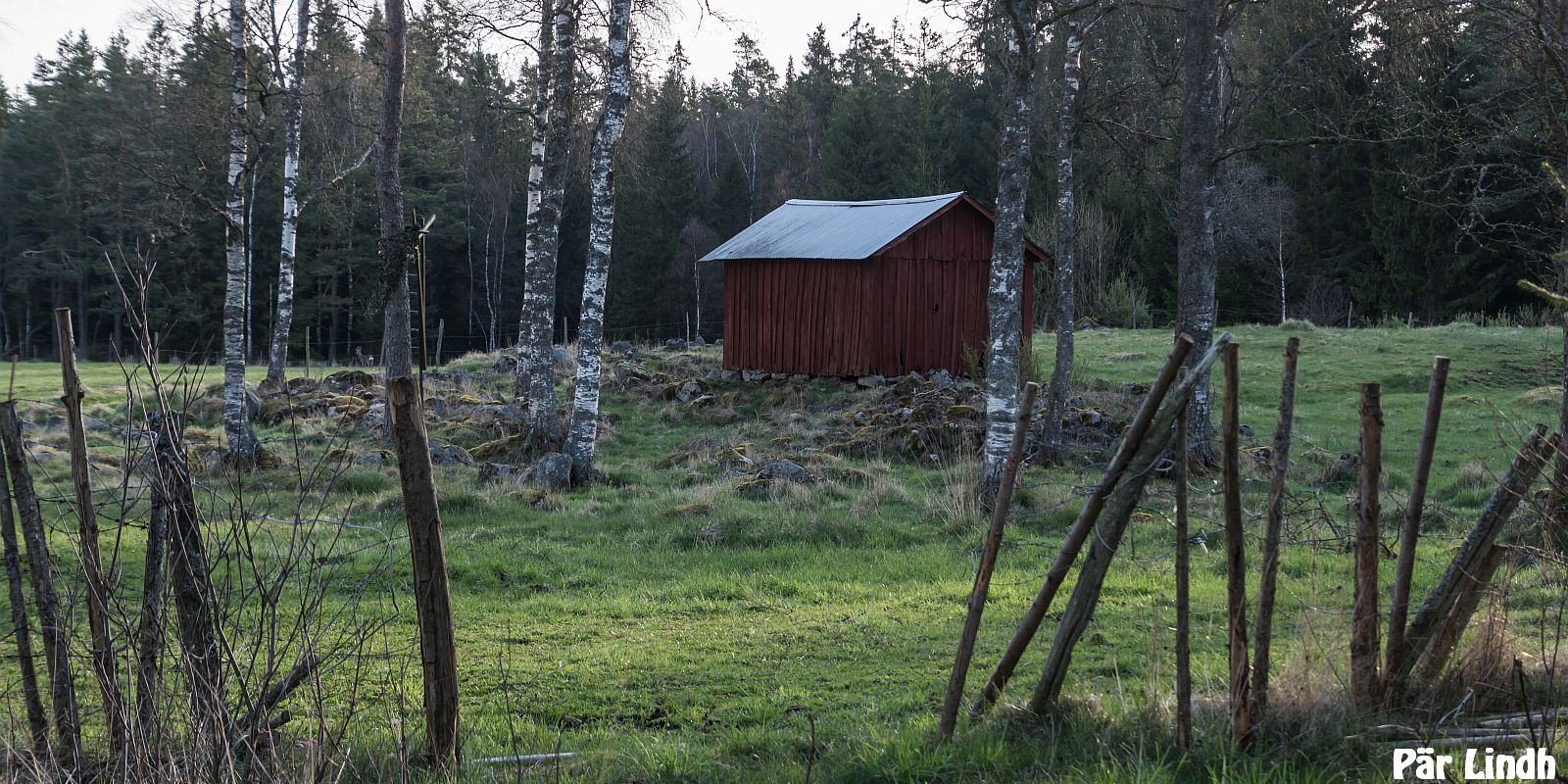 Johansdal