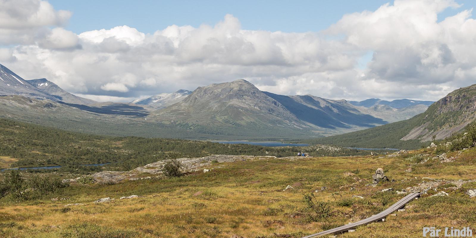 Tarraure