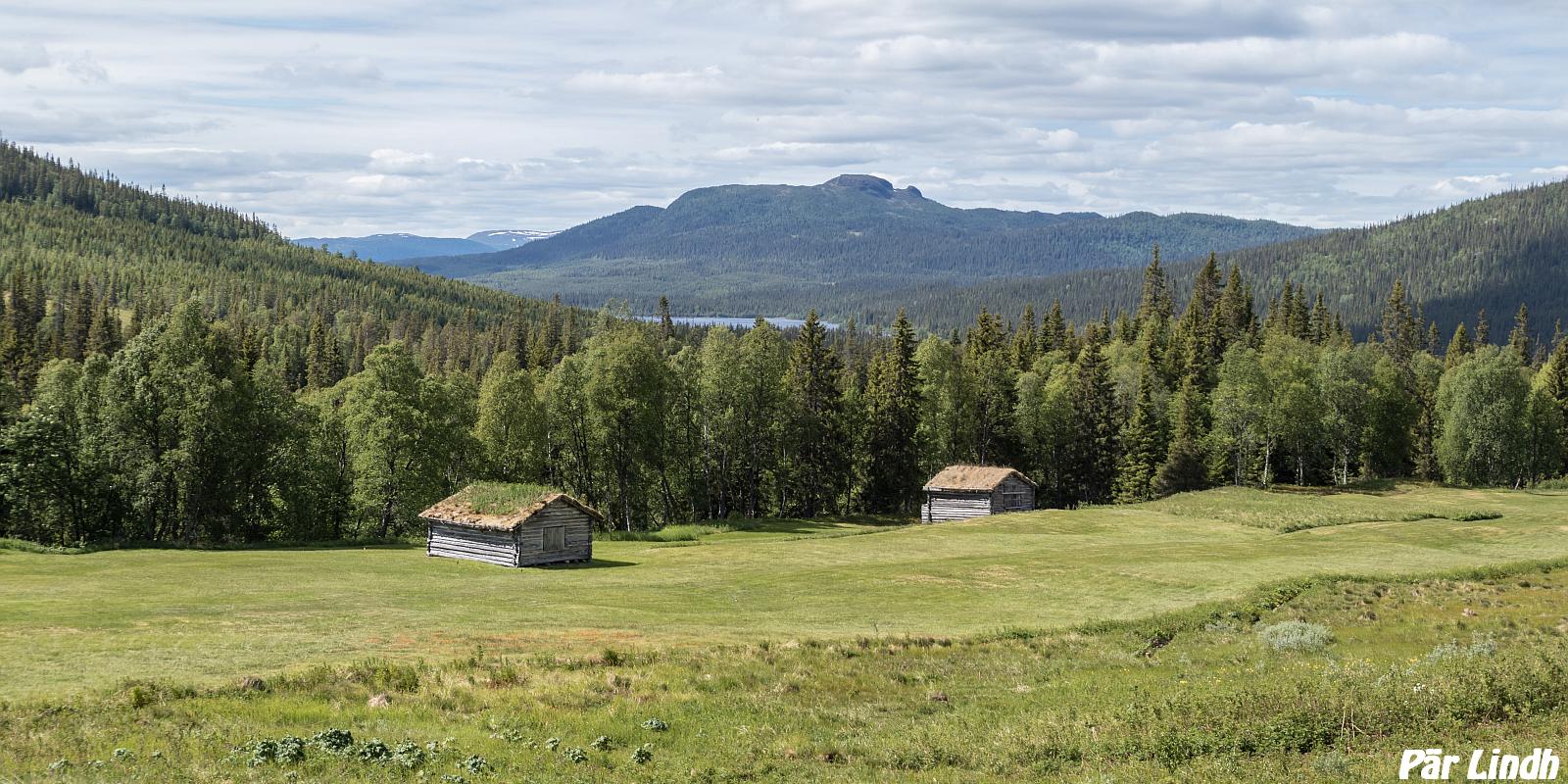 Väktarmon