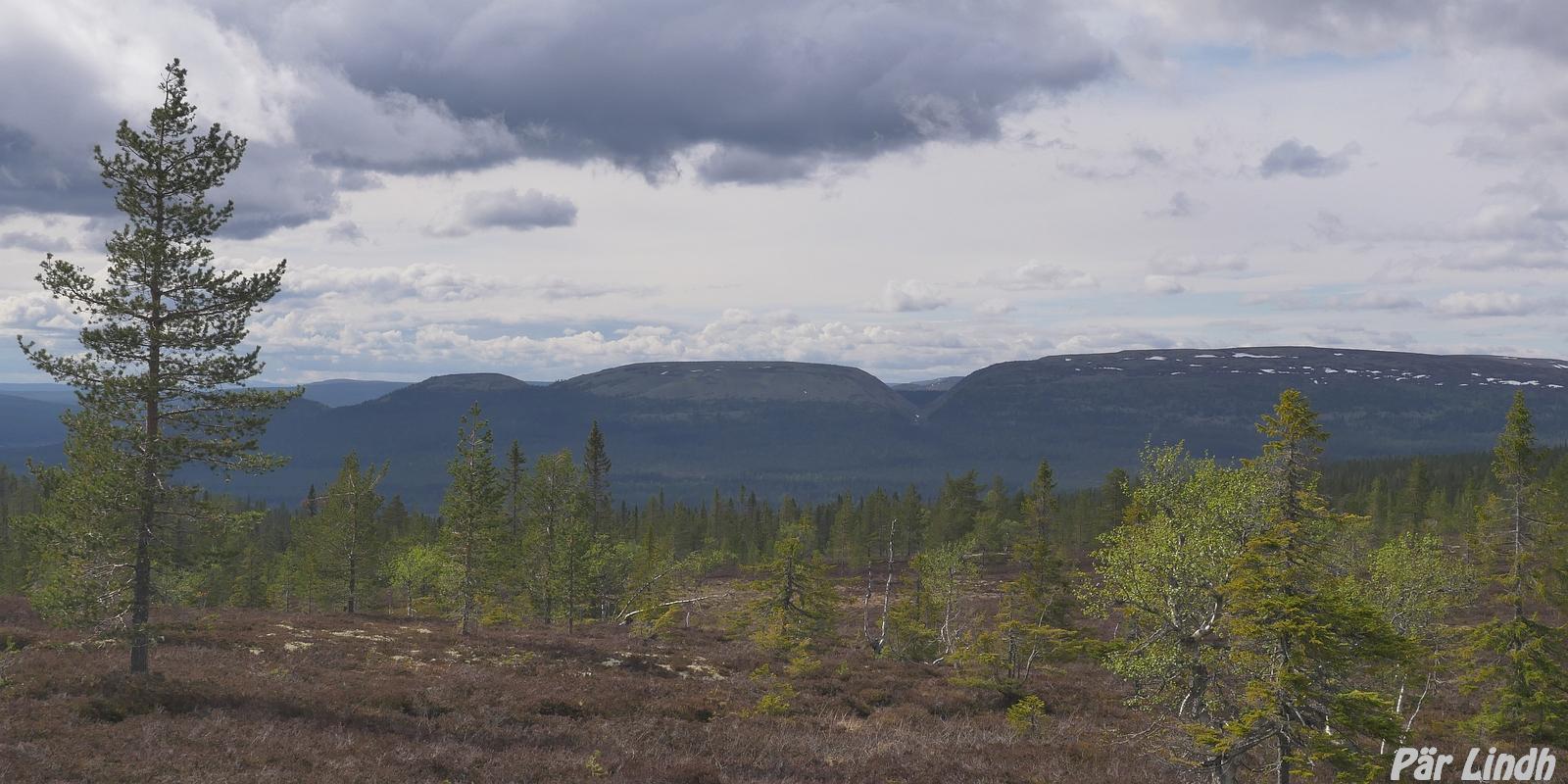 Tangådalen