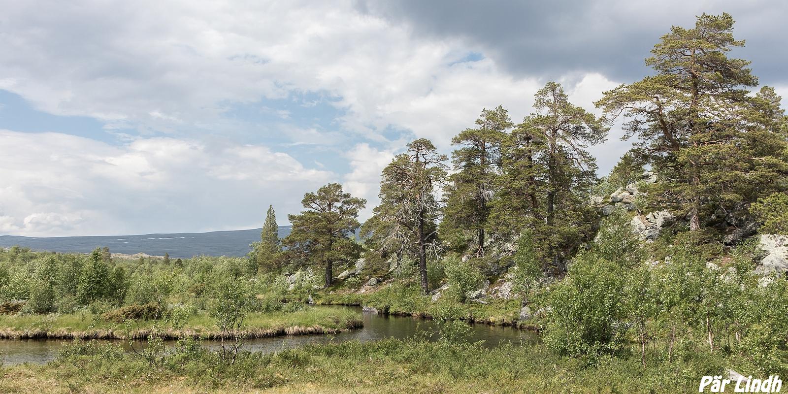 Grøtåa