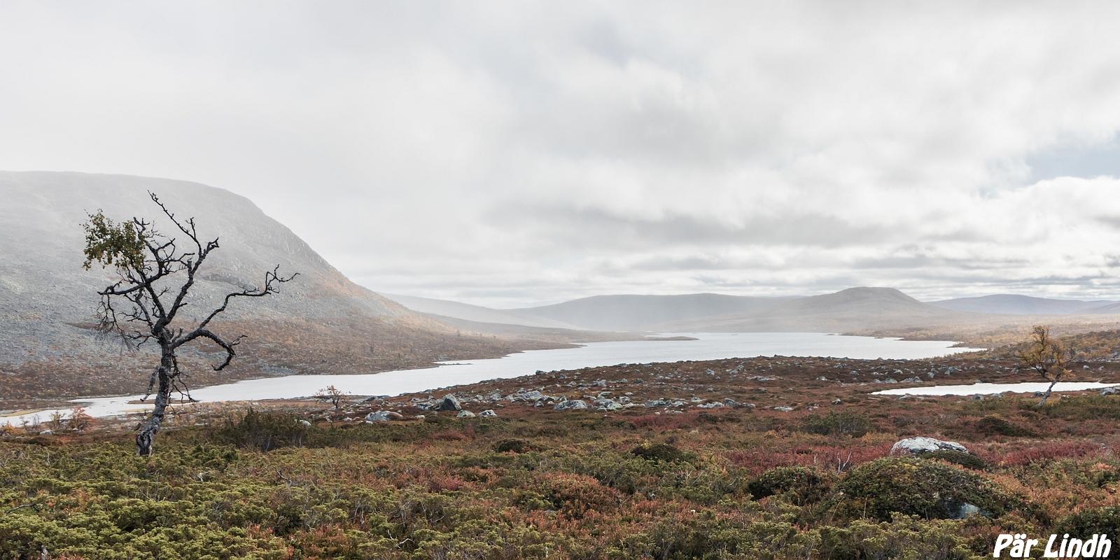 Rønsjøen